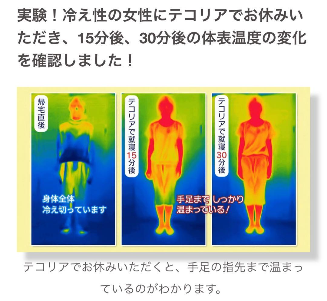 【新品】【定価80%OFF】 空気循環マットレス テコリア セミダブル