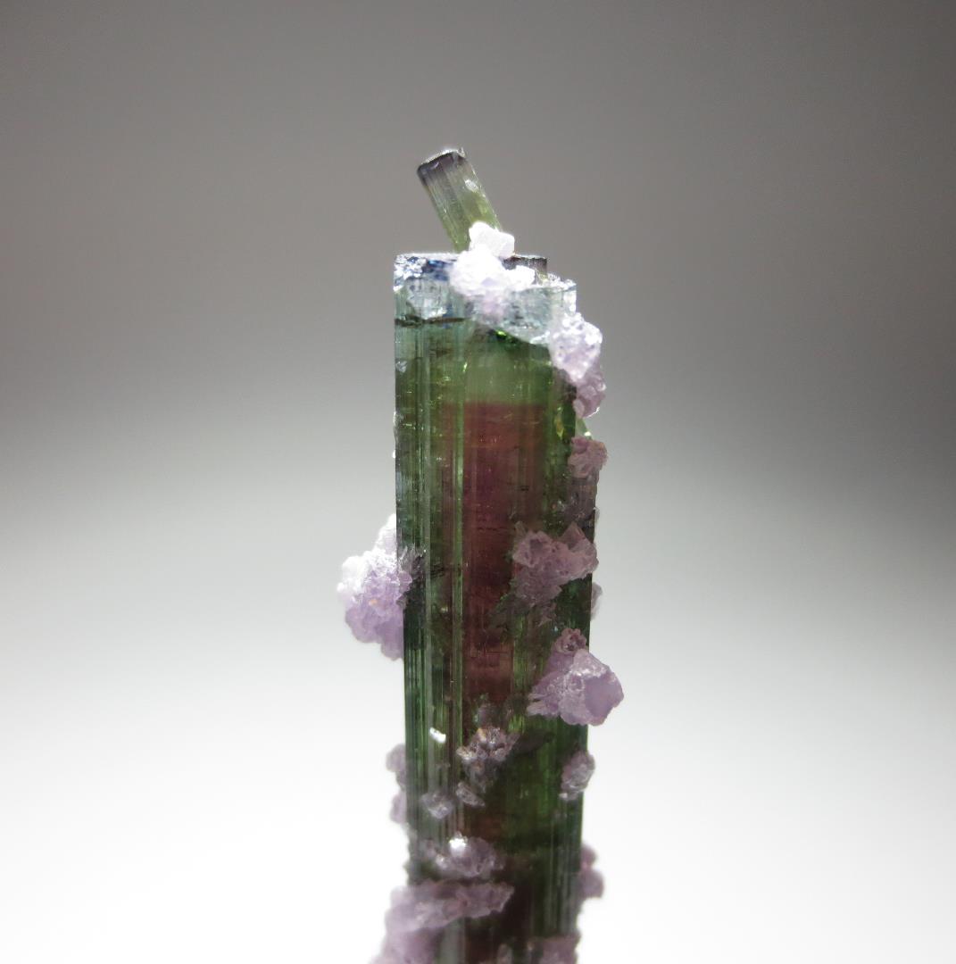 アリカンガ鉱山産 ウォーターメロントルマリン&レピドライト【鉱物標本】