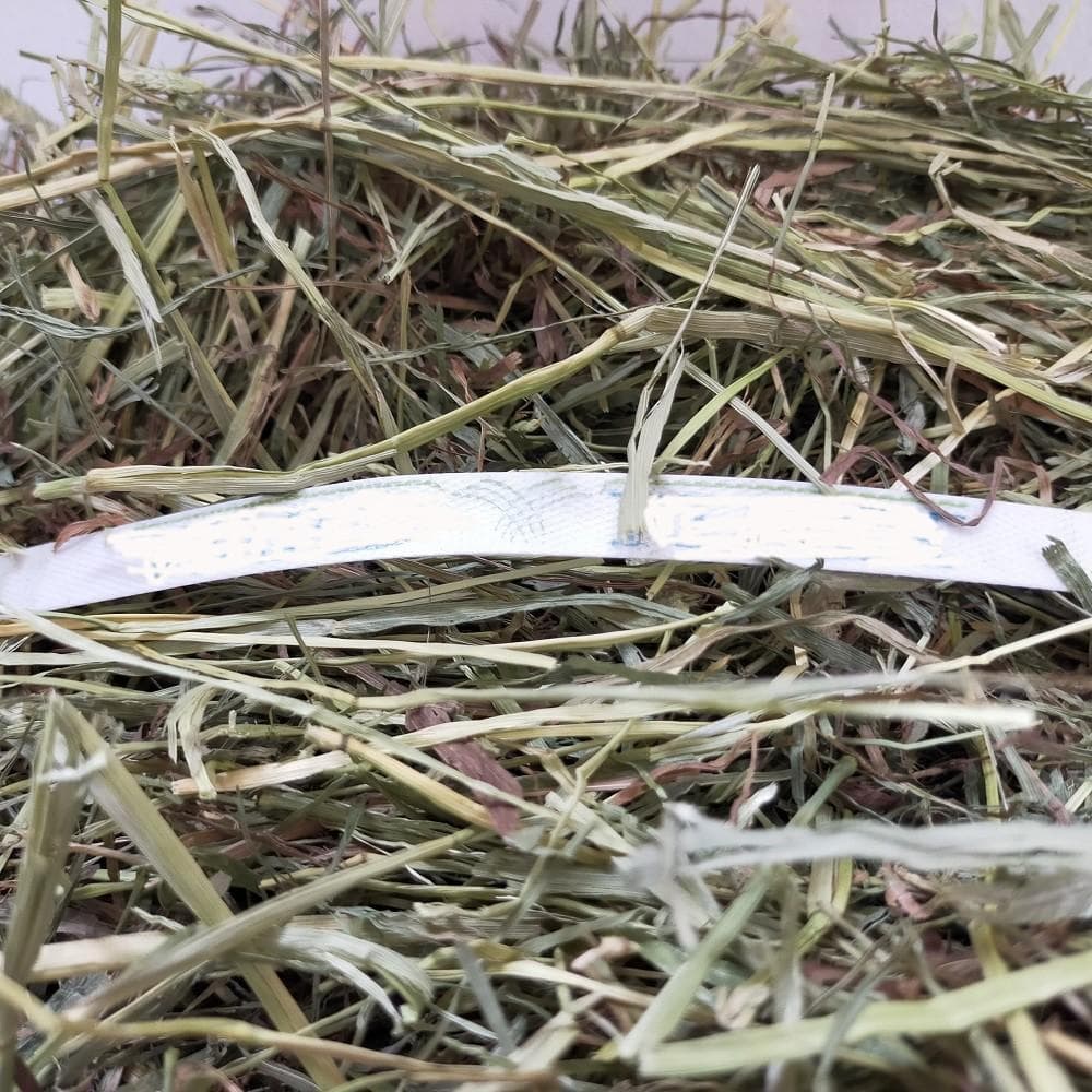 【6/30まで】US産 チモシー 50kg ２番刈り ソフトSプレミアム