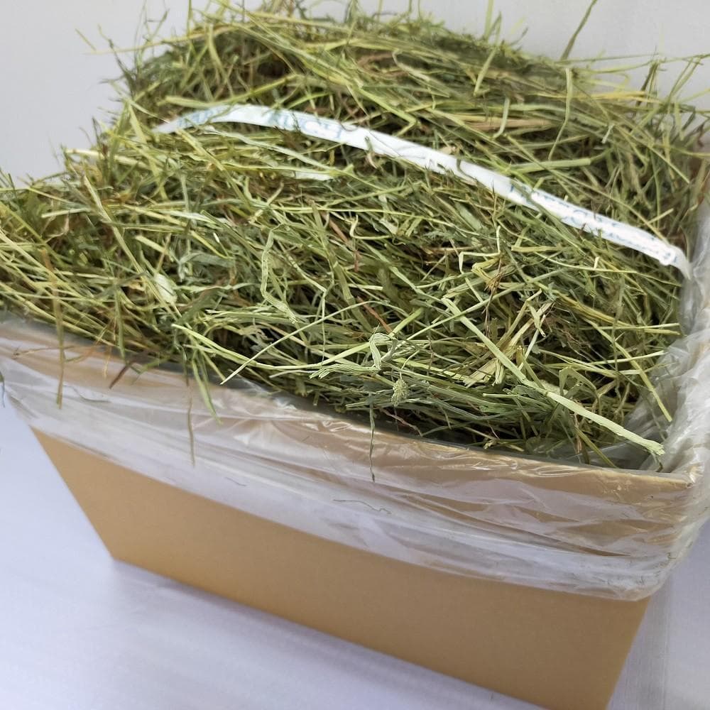 【6/30まで】US産 チモシー 50kg ２番刈り ソフトSプレミアム