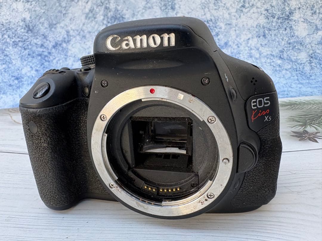 キヤノン EOS Kiss X5 ボディ本体のみ(レ34)
