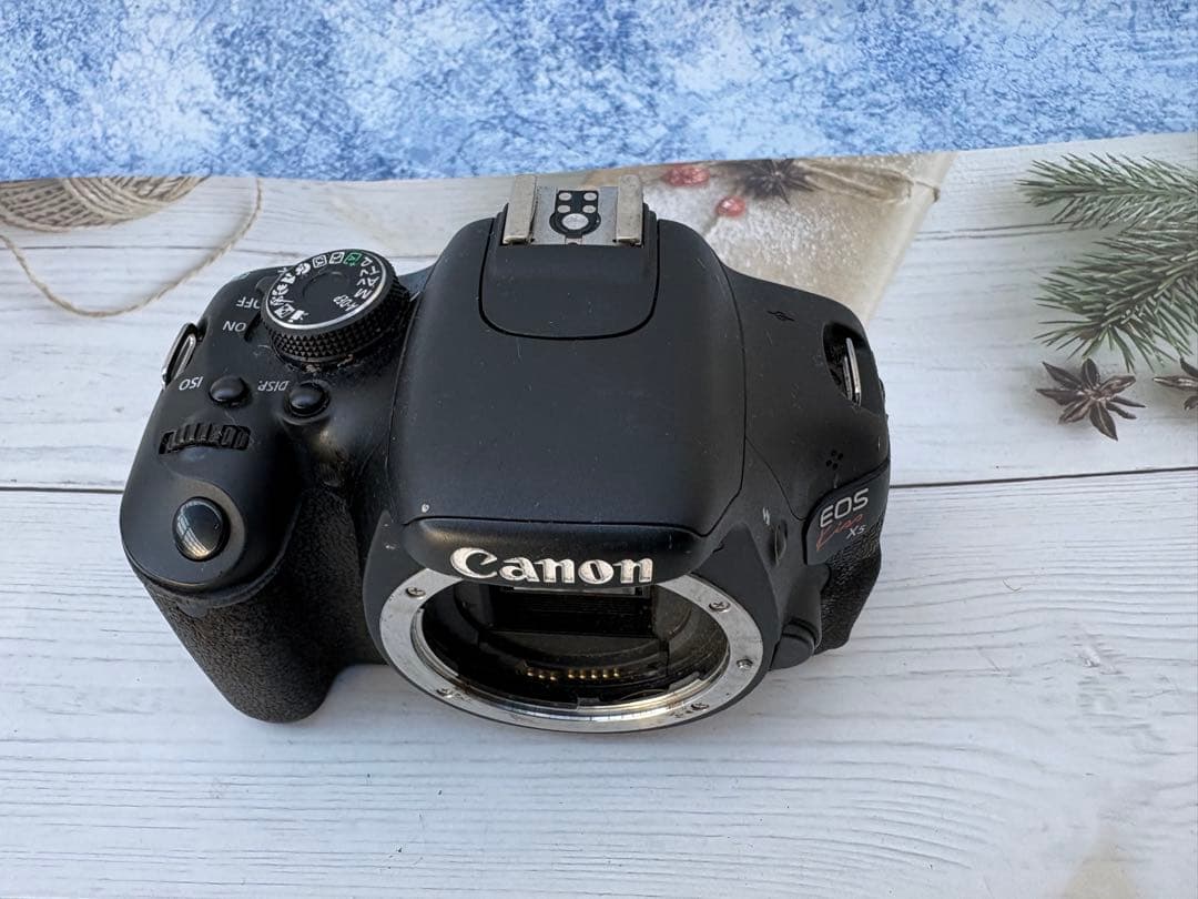 キヤノン EOS Kiss X5 ボディ本体のみ(レ34)