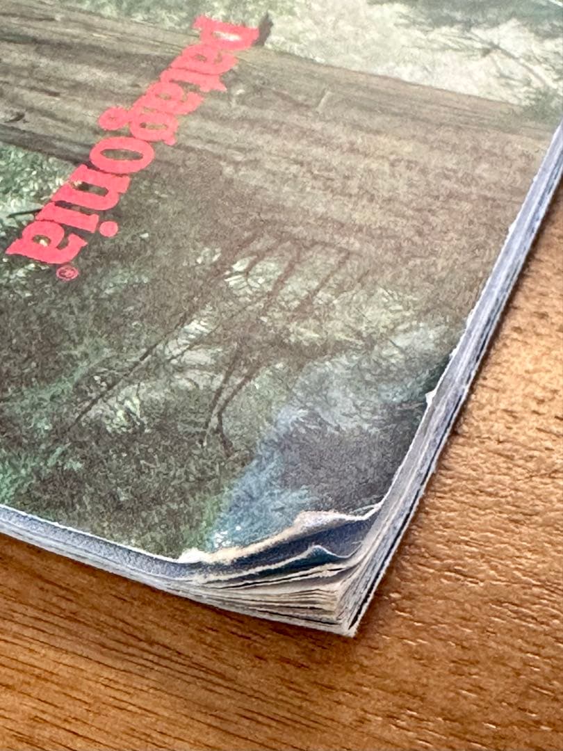 や*ん様 patagonia パタゴニア カタログ 1989spring &fa