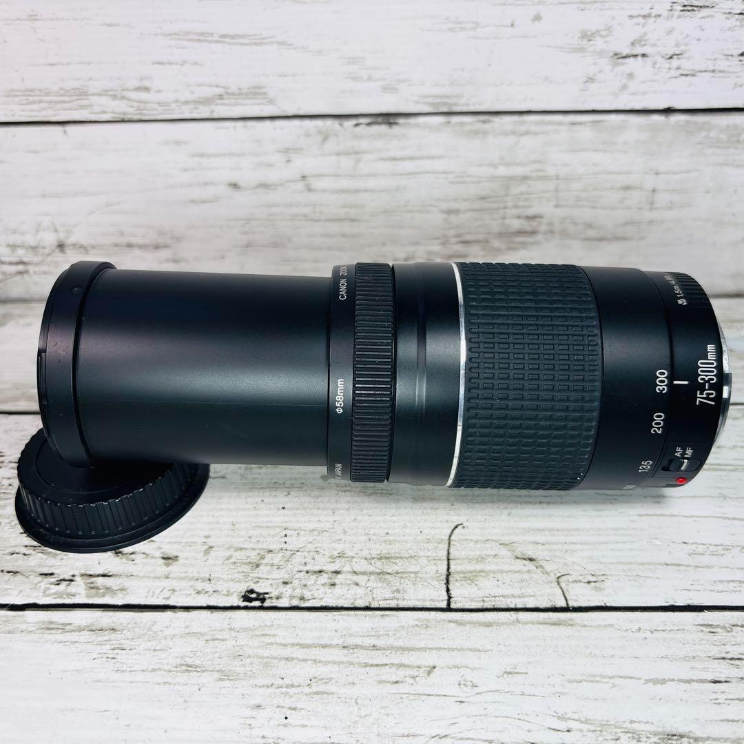 Canon ズームレンズ EF 75-300mm F4-5.6 Ⅲ USM