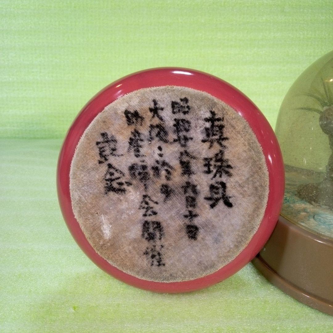 ①Dynamic Aquarium　②真珠貝　ガラスドーム　①②セット　おまとめ