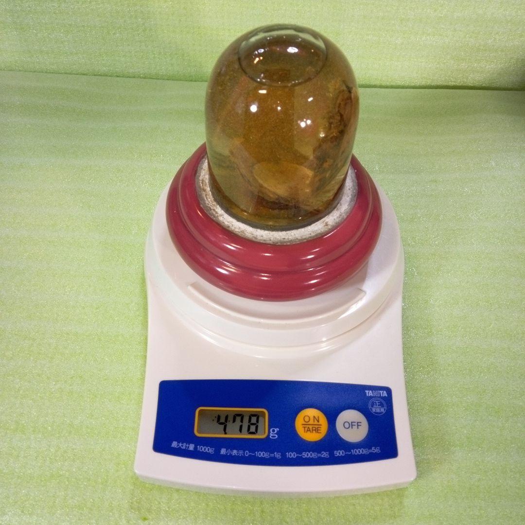 ①Dynamic Aquarium　②真珠貝　ガラスドーム　①②セット　おまとめ