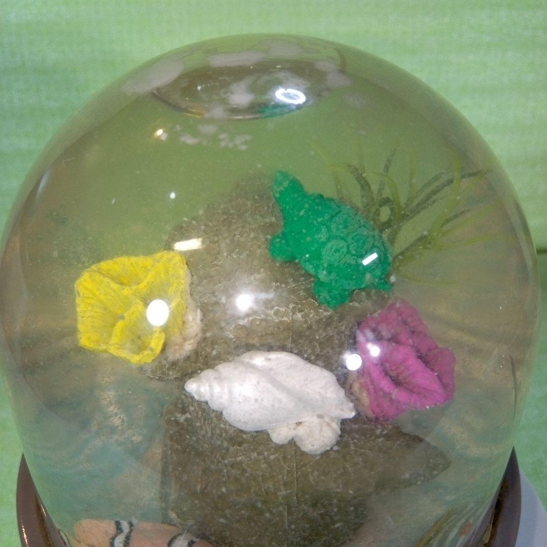 ①Dynamic Aquarium　②真珠貝　ガラスドーム　①②セット　おまとめ