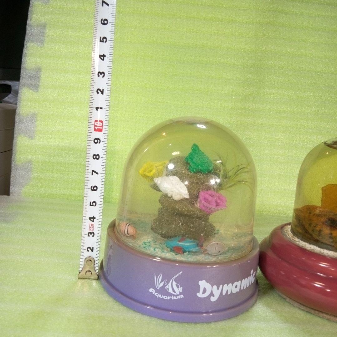 ①Dynamic Aquarium　②真珠貝　ガラスドーム　①②セット　おまとめ
