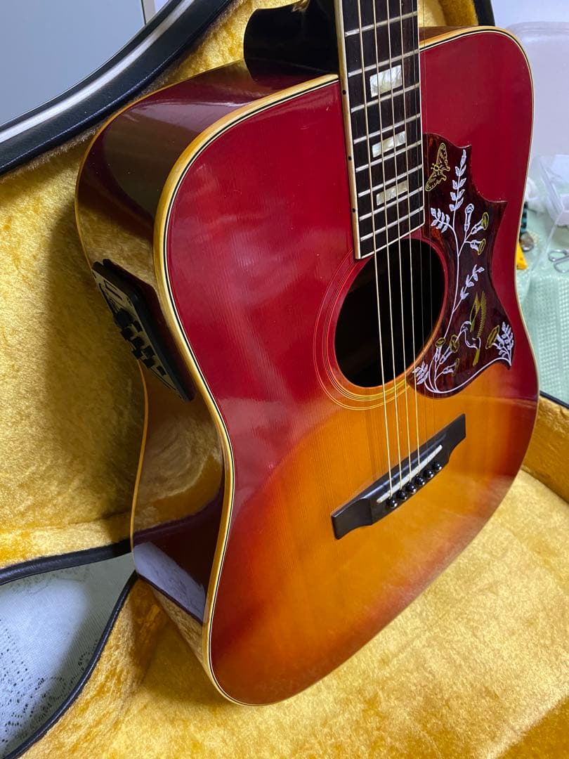 新春特価　Greco ハミングバード エレアコ　フジゲン製