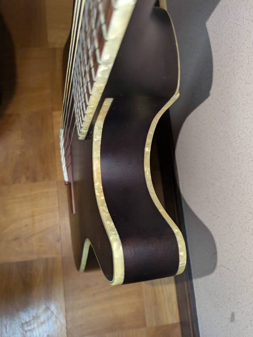 ギター ibanez TOD10N