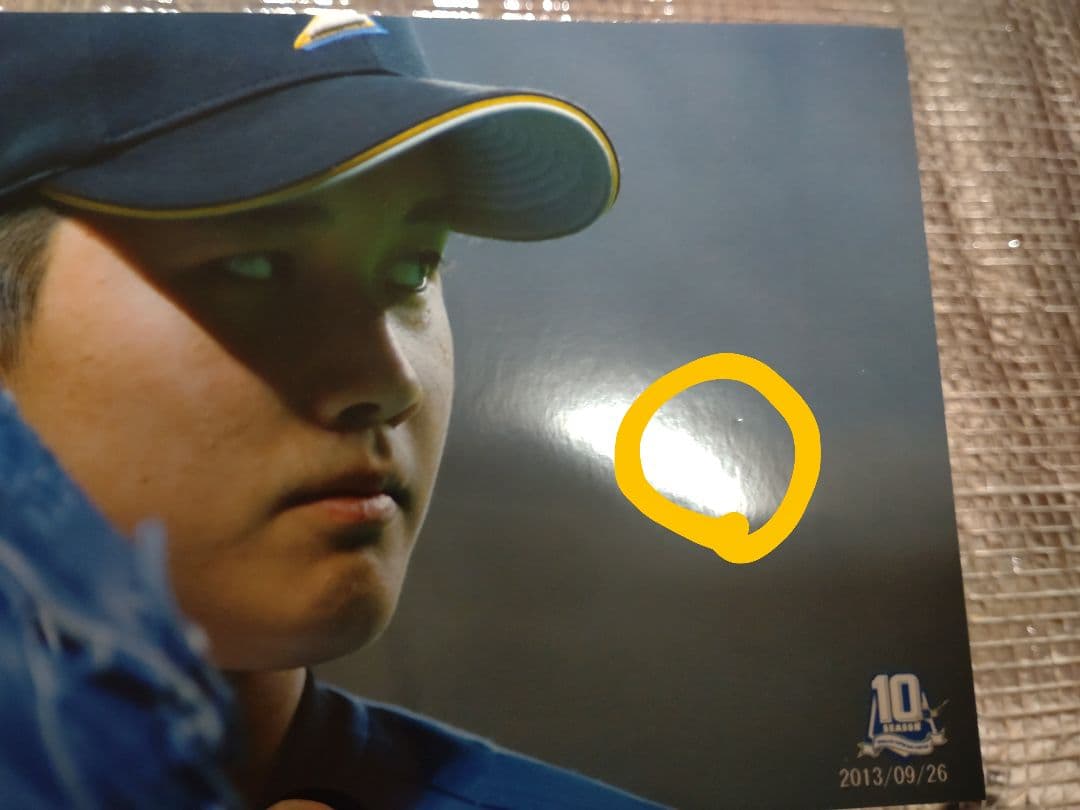 大谷翔平 2013 ハイライトフォト No.373 日本ハム 球団公式写真