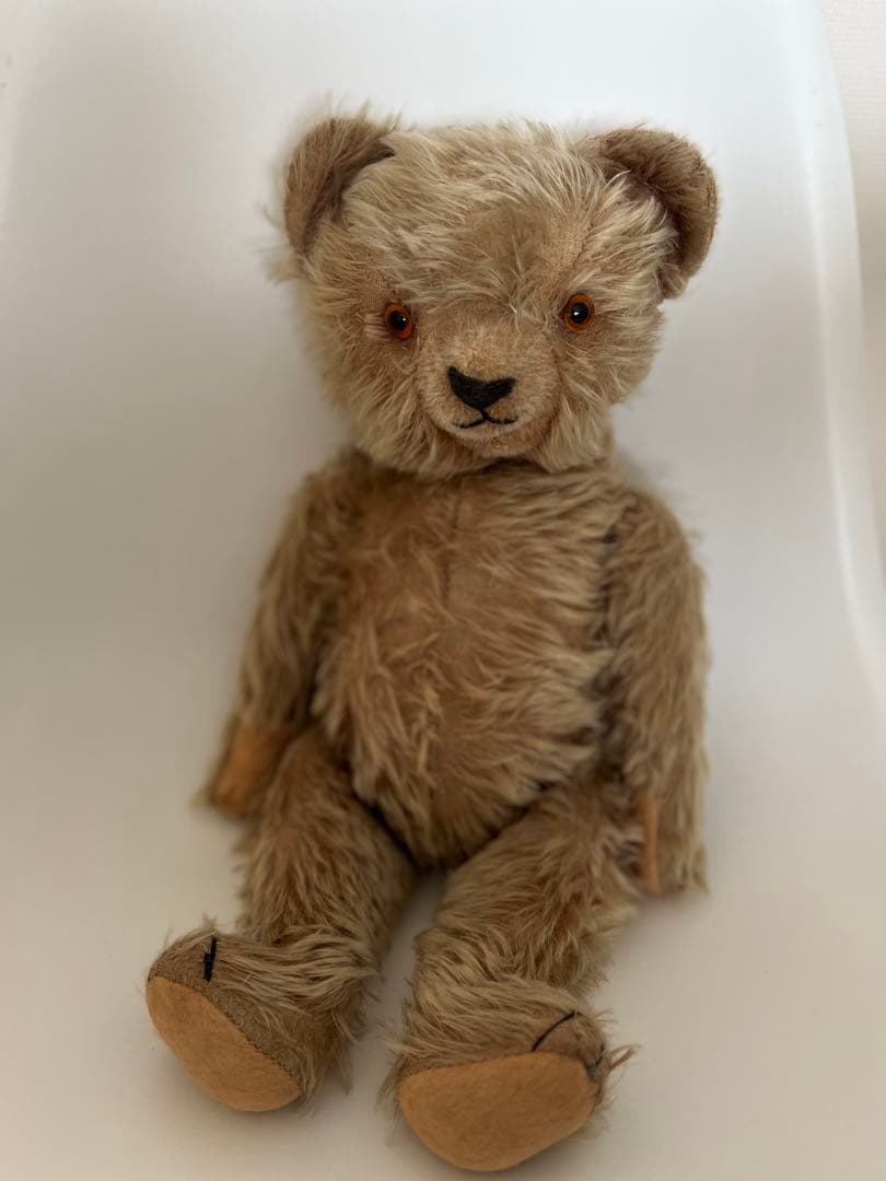 12/29日までチワワです