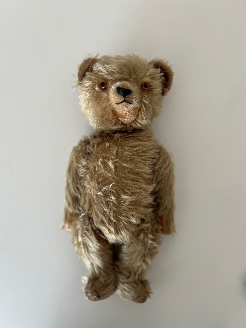 12/29日までチワワです