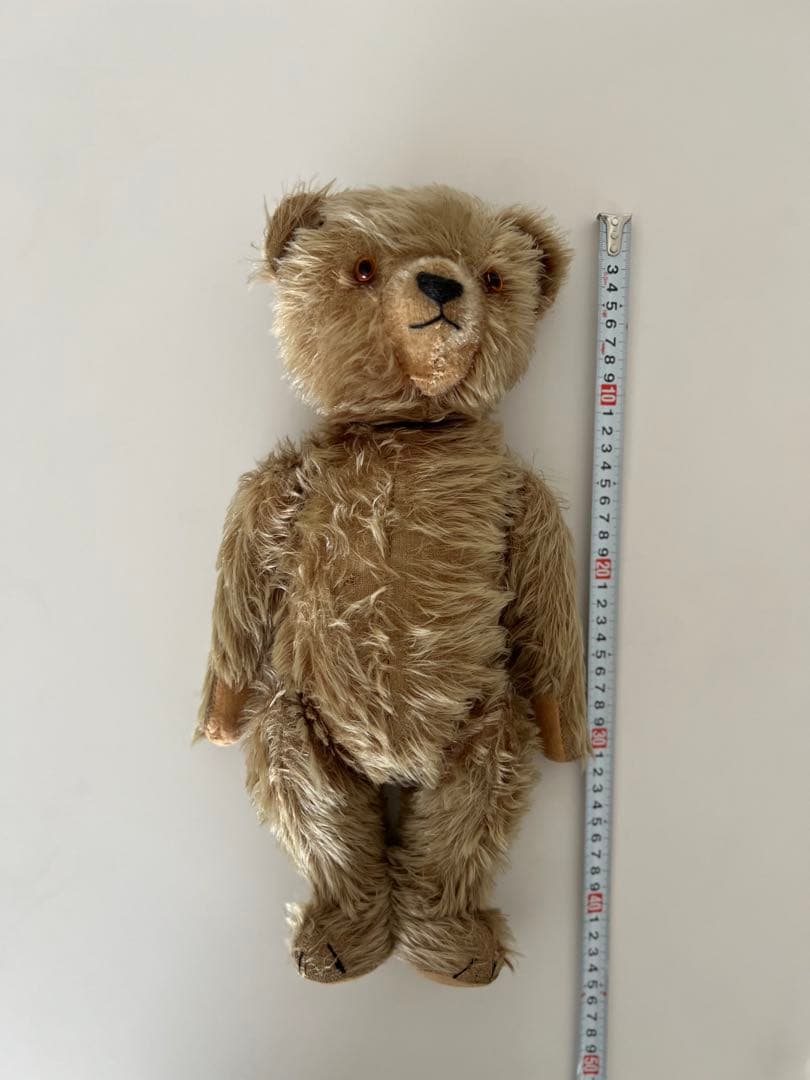 12/29日までチワワです