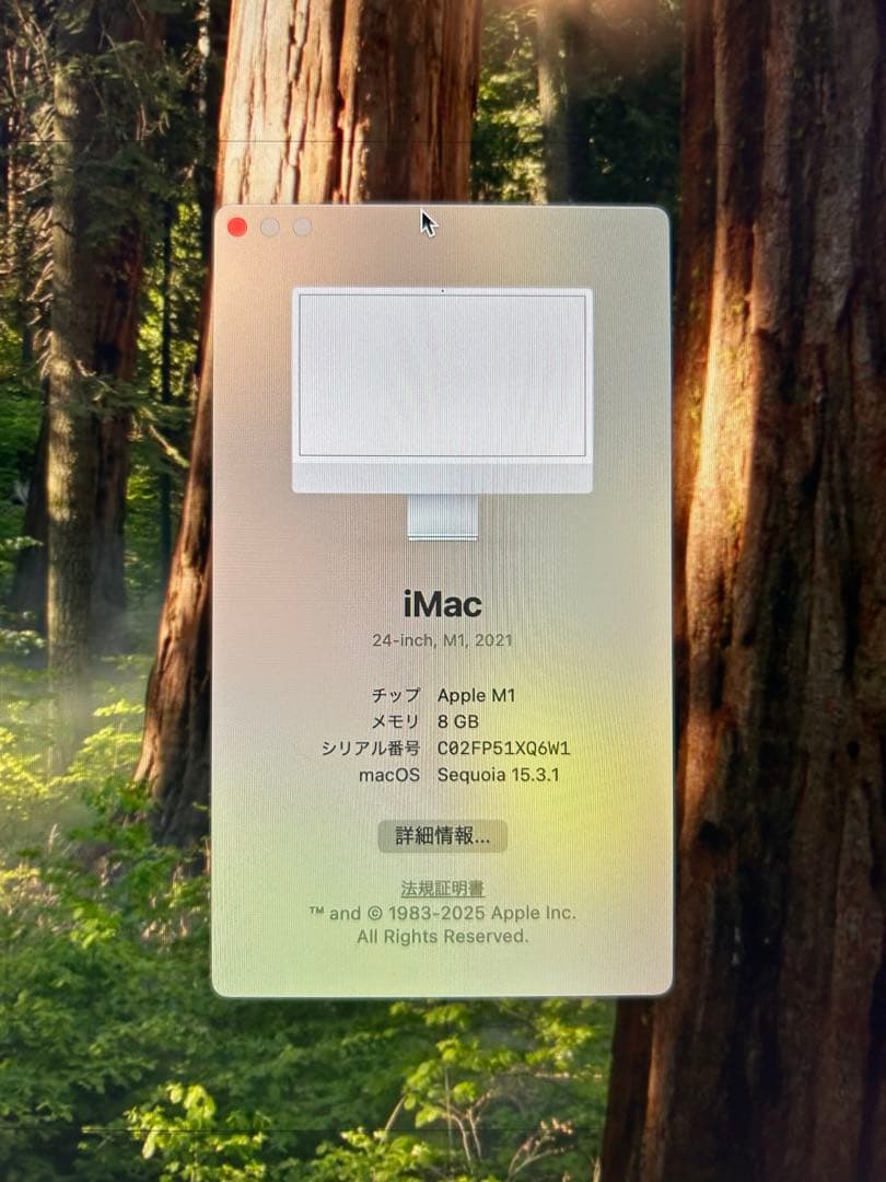 iMac 24インチ(2021) シルバー　ジャンク