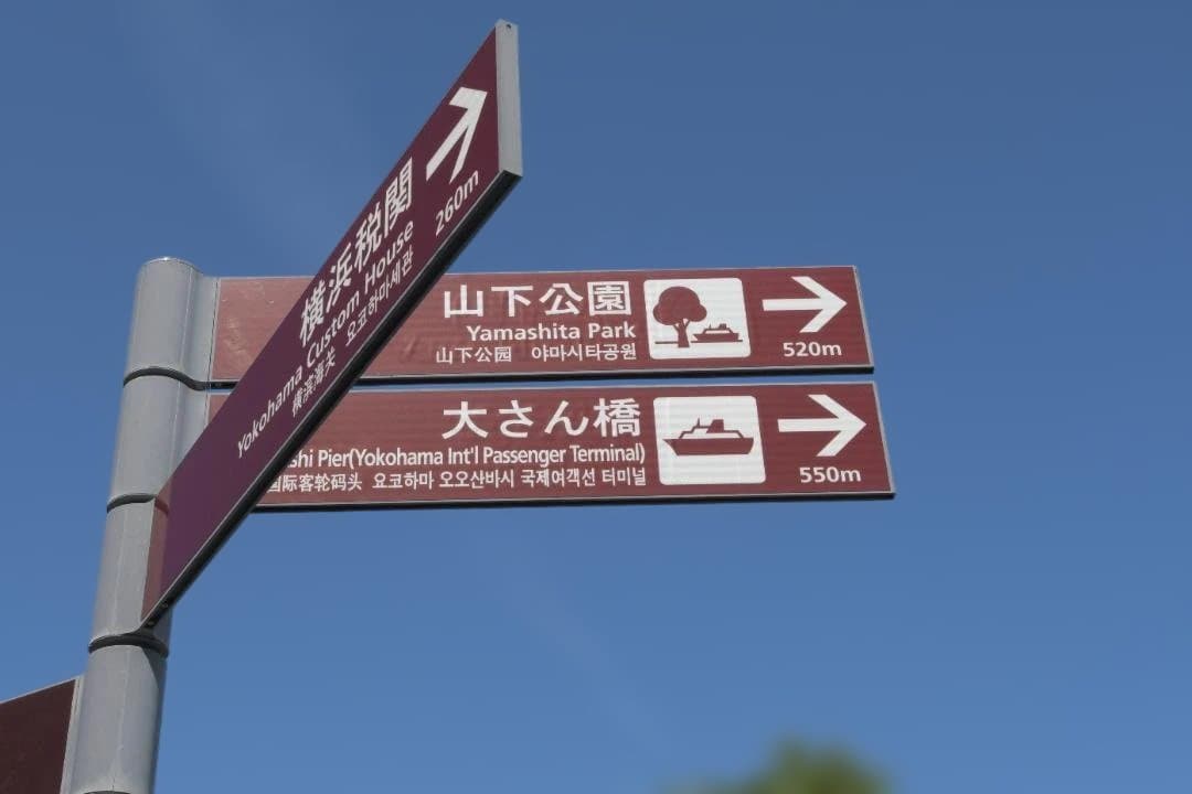 シャッター回数【4329枚】Nikon デジタル一眼レフカメラ D500 ボディ