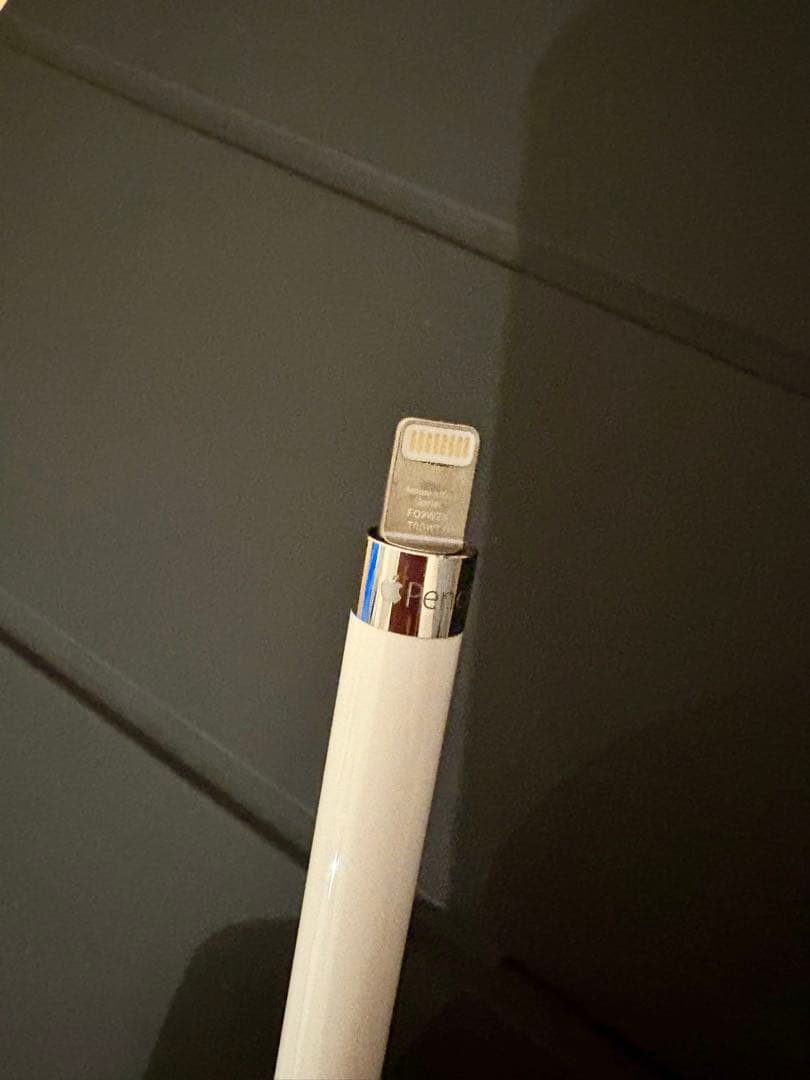 iPad pro 12.9 第2世代 512G＋Apple Pencil 他付