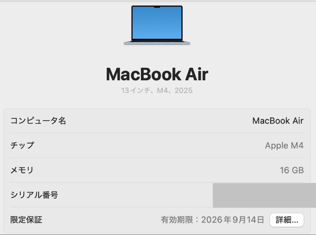 【完美品】MacBook Air 13インチ M4チップ 256GB