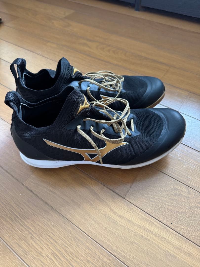 ミズノプロ　野球　スパイク　ドミナントTPU