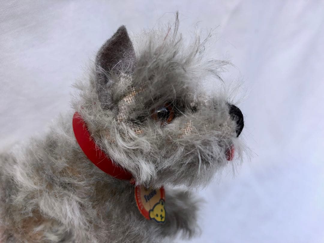 Steiff 　シュナウザーのTessi