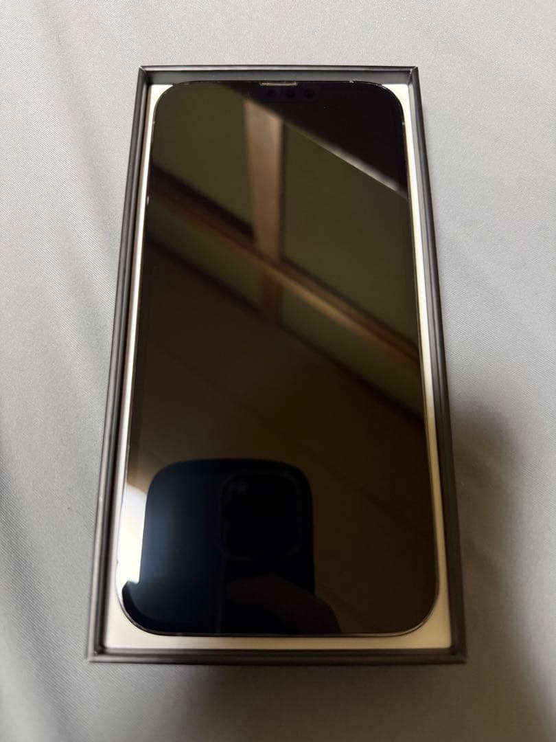 iPhone 13 ProMax シエラブルー 本体