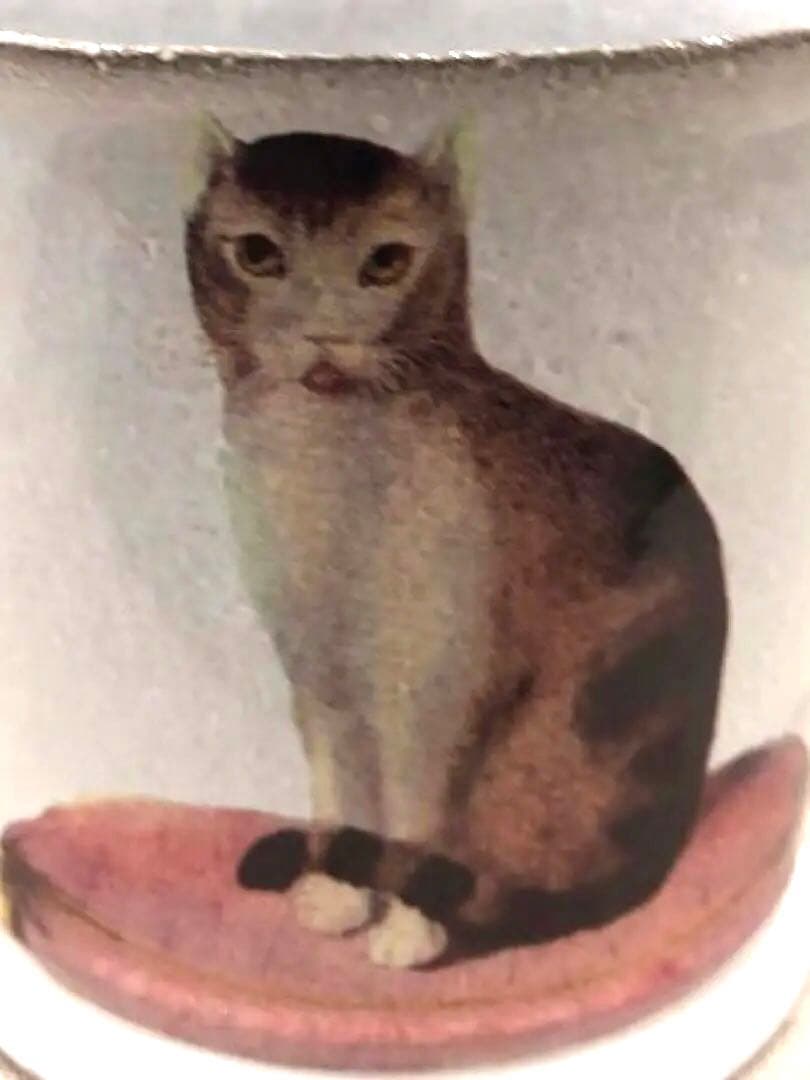 アスティエ　ド　ヴィラッド　ネコ柄マグカップ