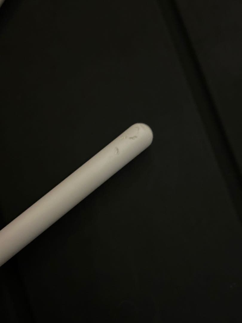 iPad Pro 12.9 1TB SIMフリー　スペースグレイ　第5世代