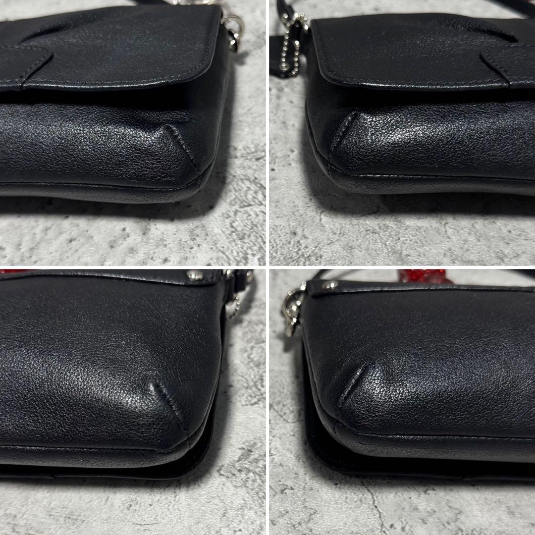 バッグ Coach Y2K Poppy Leather Accessory Pouch