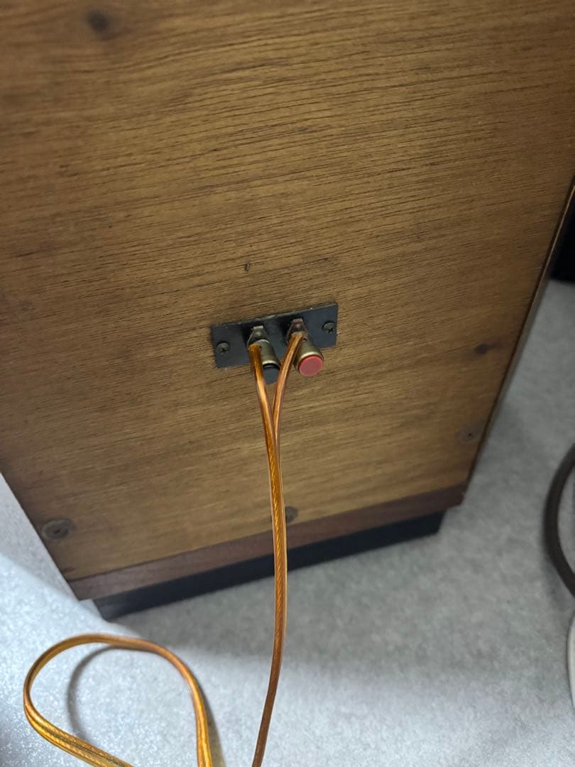 GOODMAN AXIOM 301 スピーカー