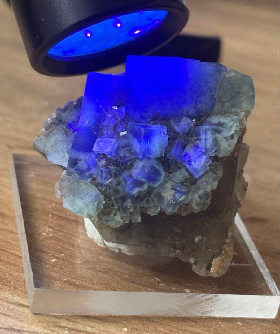 k*g様 レディアナベラ　toxic apple pocket フローライト　レ