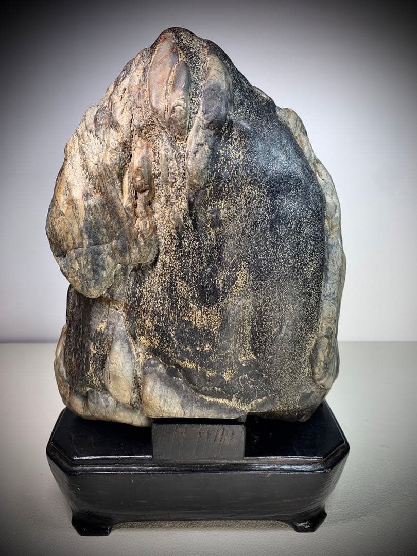 2602 瀬田川黒乱虎金梨地石  横22×高32(cm) 11.62kg