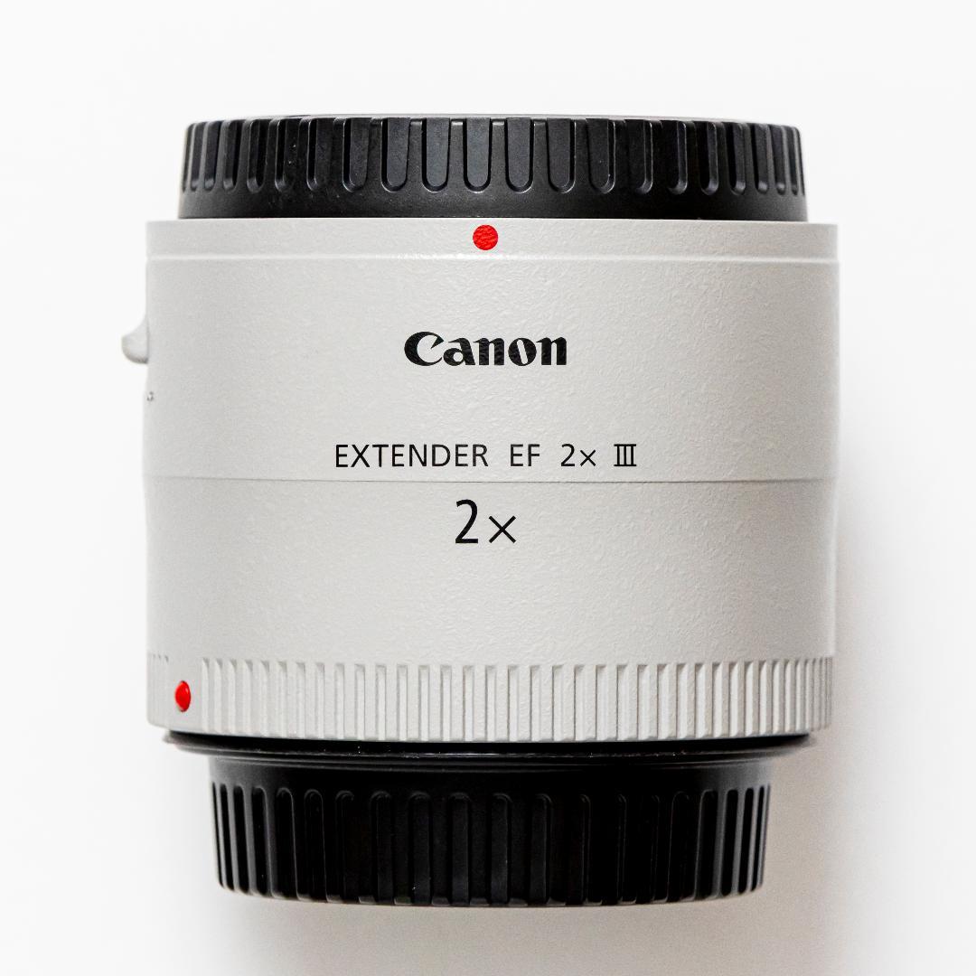 Canon キヤノン EXTENDER EF2X III【美品】ケース付き