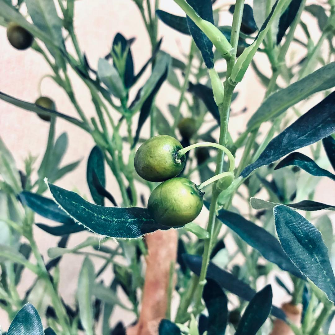 フェイクグリーン　オリーブ　人工観葉植物　光の楽園