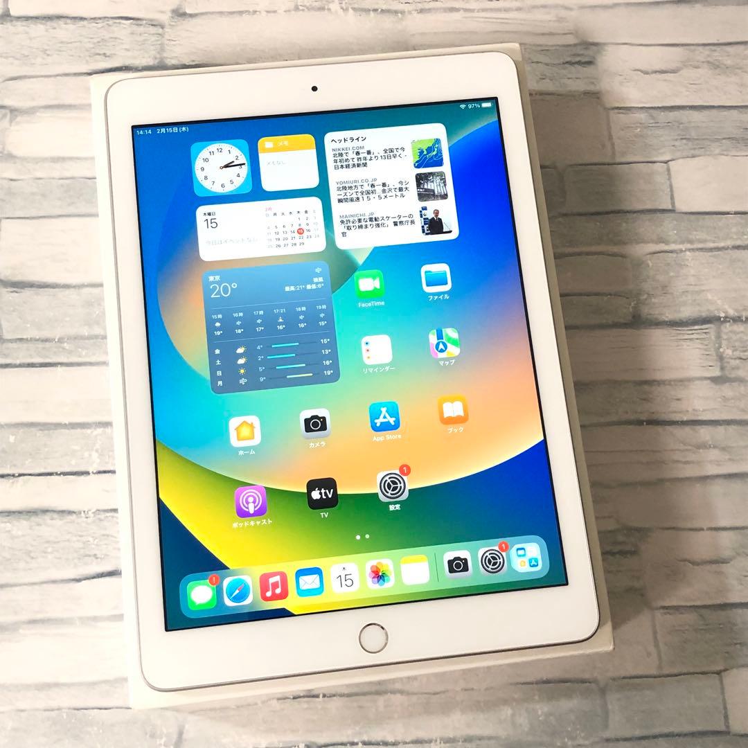 Apple 第5世代 iPad 付属品完備 32GB 管理番号：1173