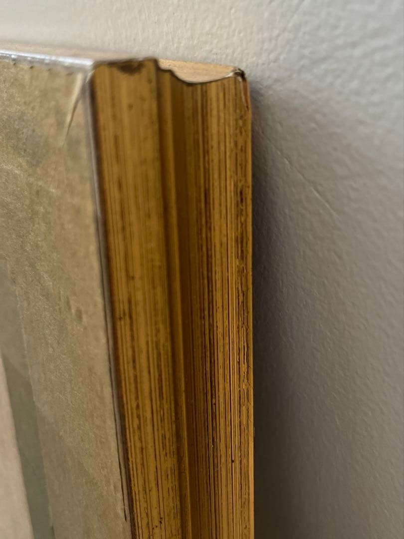 エレガントな額絵　「ウィンドウディスプレイ（窓とカーテン）」