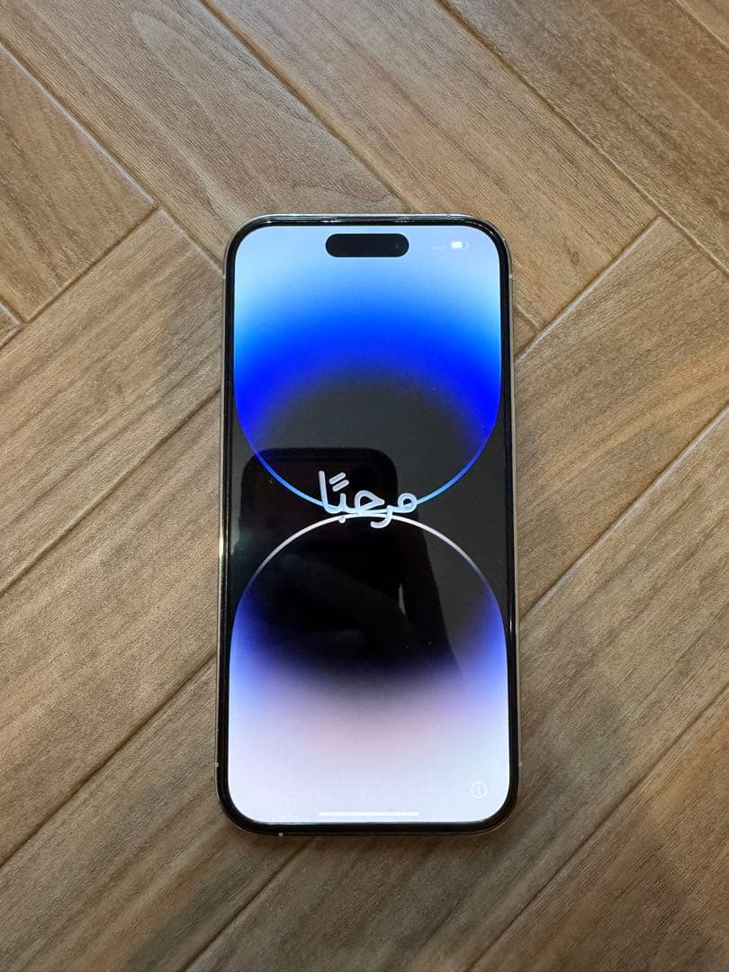 Apple iPhone 14 Pro 1TB シルバー 本体