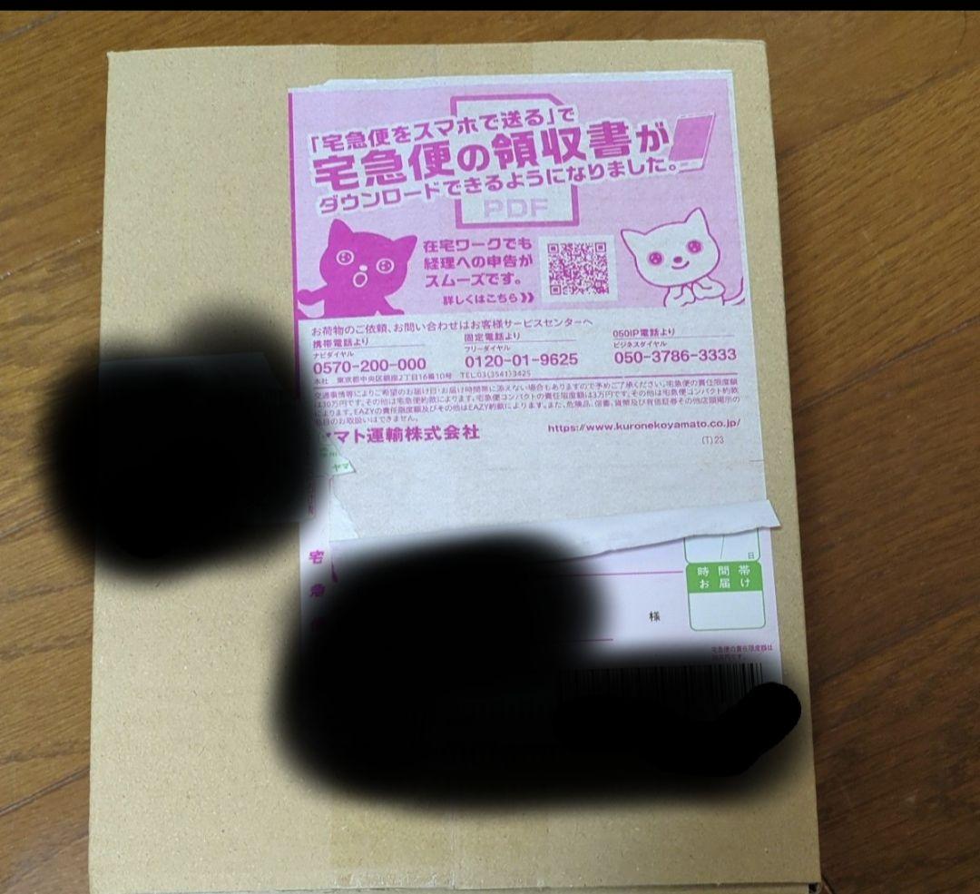 エア ジョーダン 6 レトロ \"Infrared Salesman\" 30cm