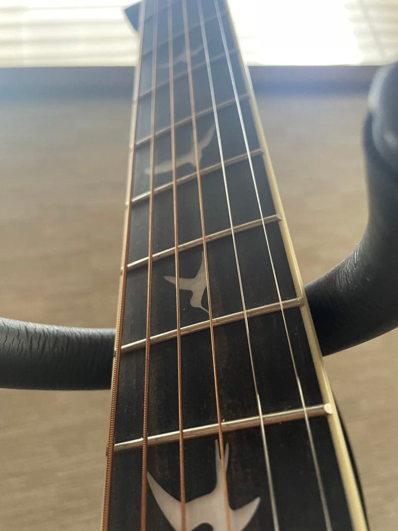 ギター PRS SE P20E Parlor w/ FishmanPink Lotus