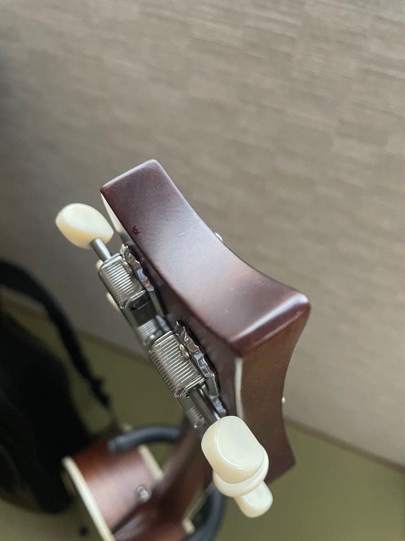 ギター PRS SE P20E Parlor w/ FishmanPink Lotus