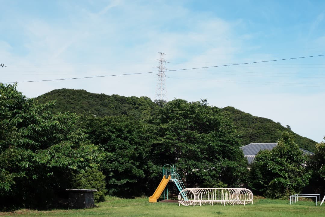 【極美品】Carl Zeiss Planar 50mm F1.4 MMJ 461