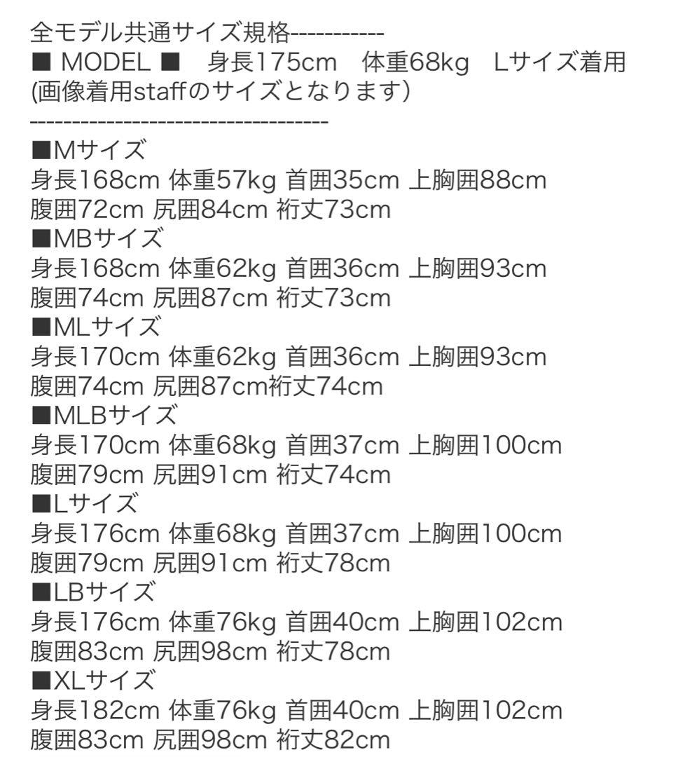 極美品アックスクラシック　ロングスリーブスプリングSIZE-L