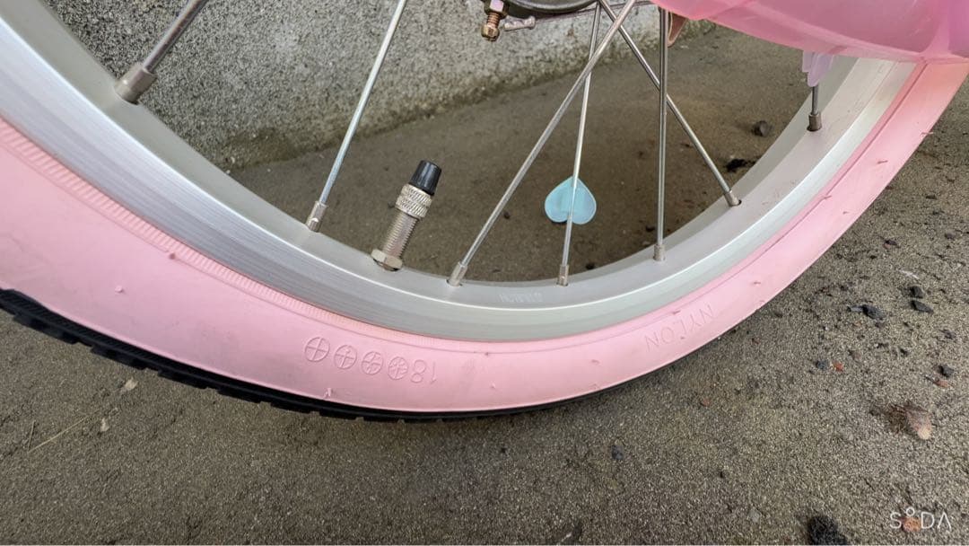 引き取り希望 幼児用自転車「True Princess Within」18インチ