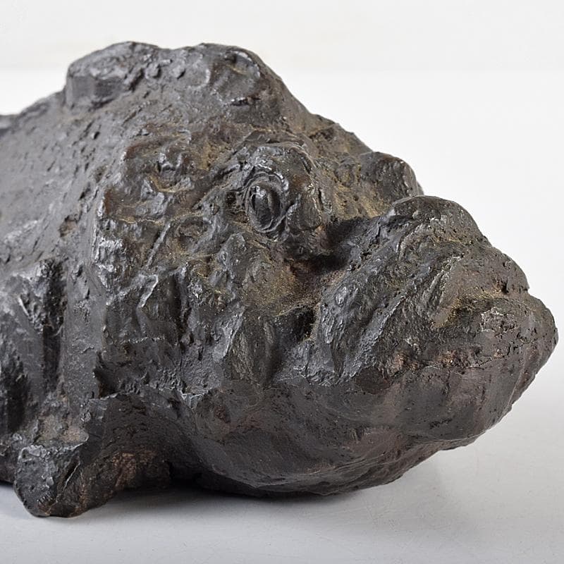 彫刻家　岡本錦朋作　ブロンズ　虎魚　おこぜ　置物　M　R7846