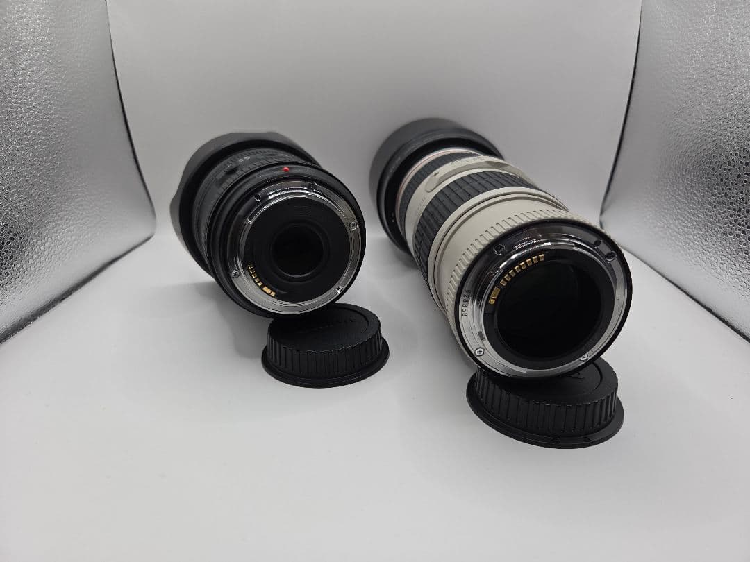 【美品】Canon 広角＆望遠レンズセット