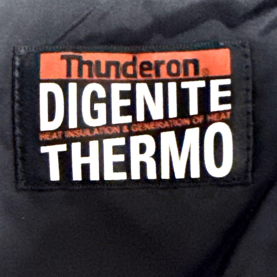 phenix スキーウェア スノボウェア セットアップ スターダスト Lサイズ