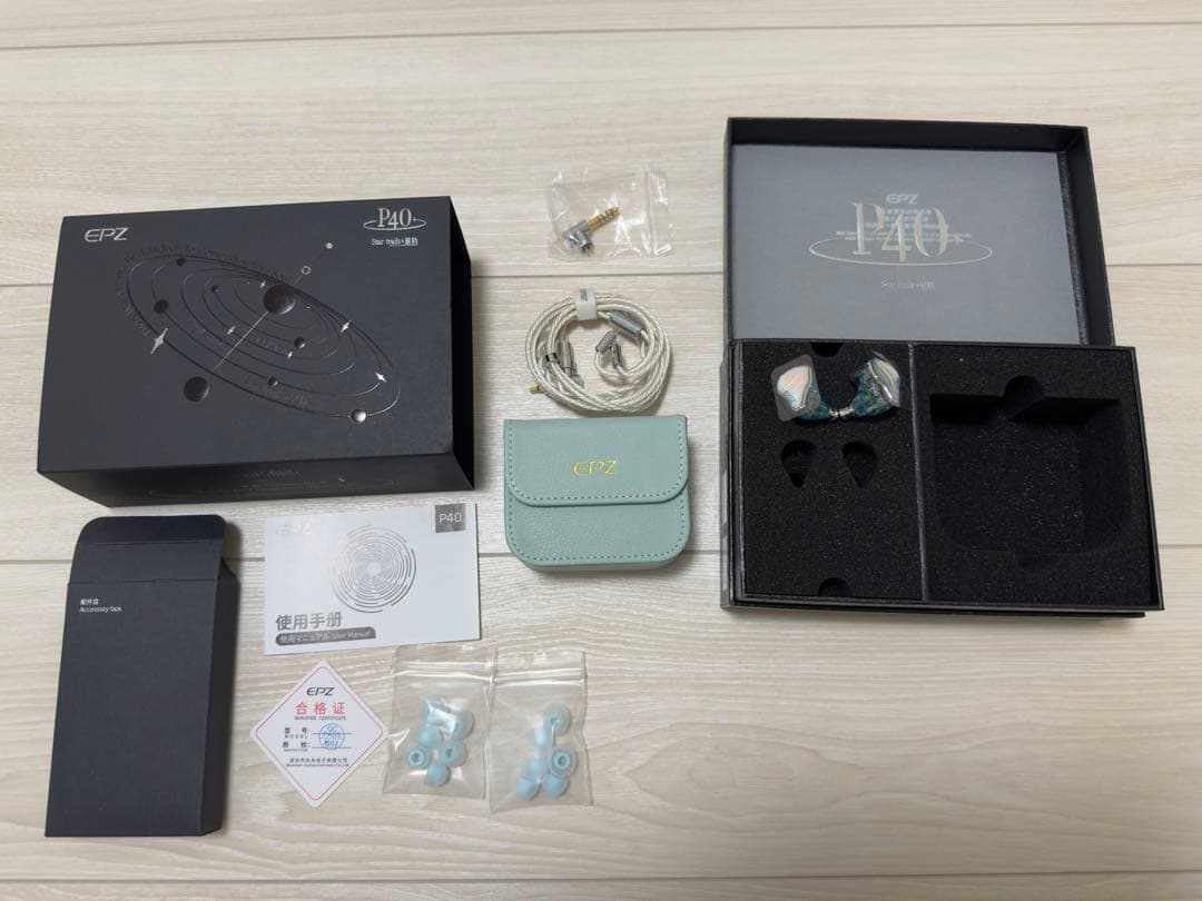 2/13まで出品　　EPZ P40