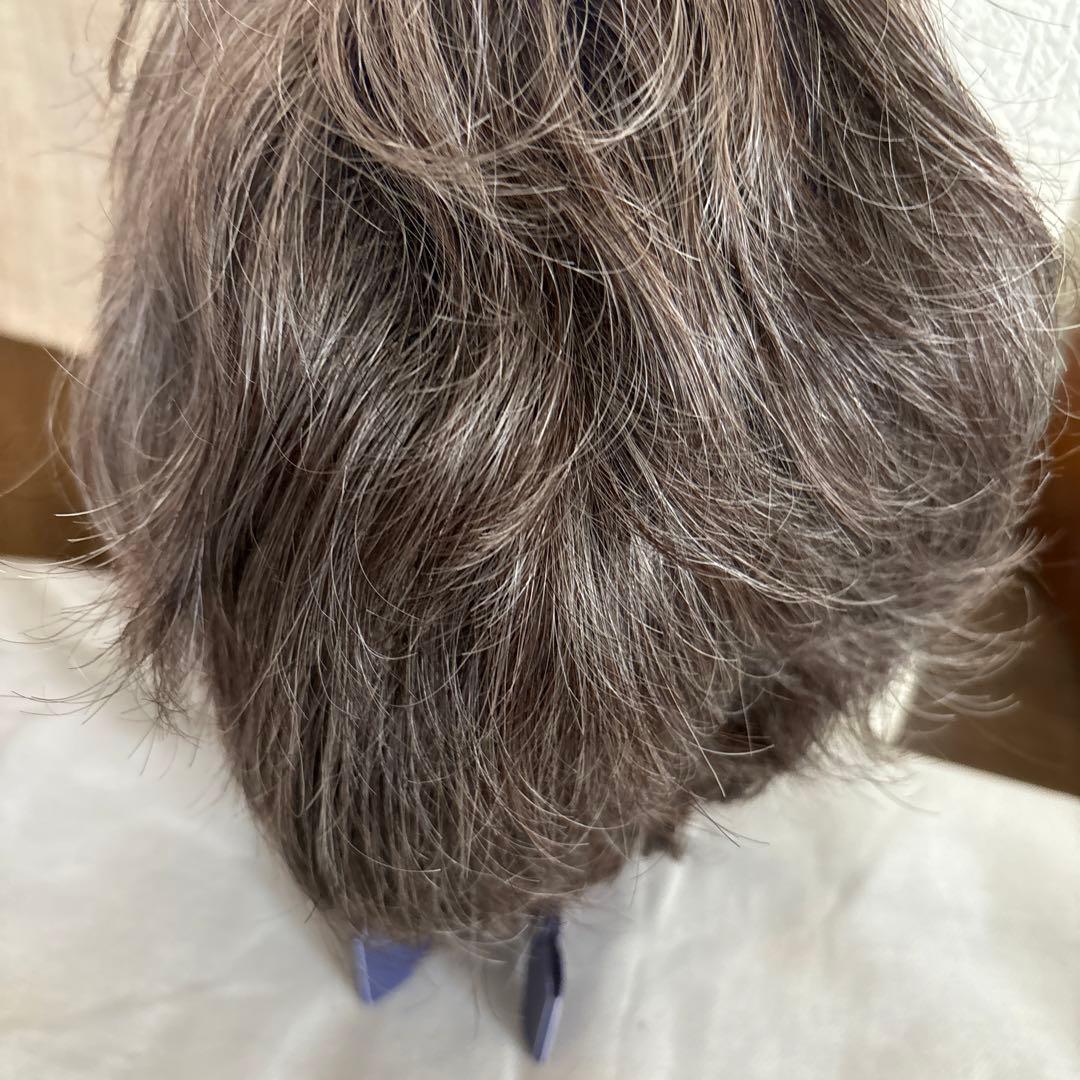ウィッグ
