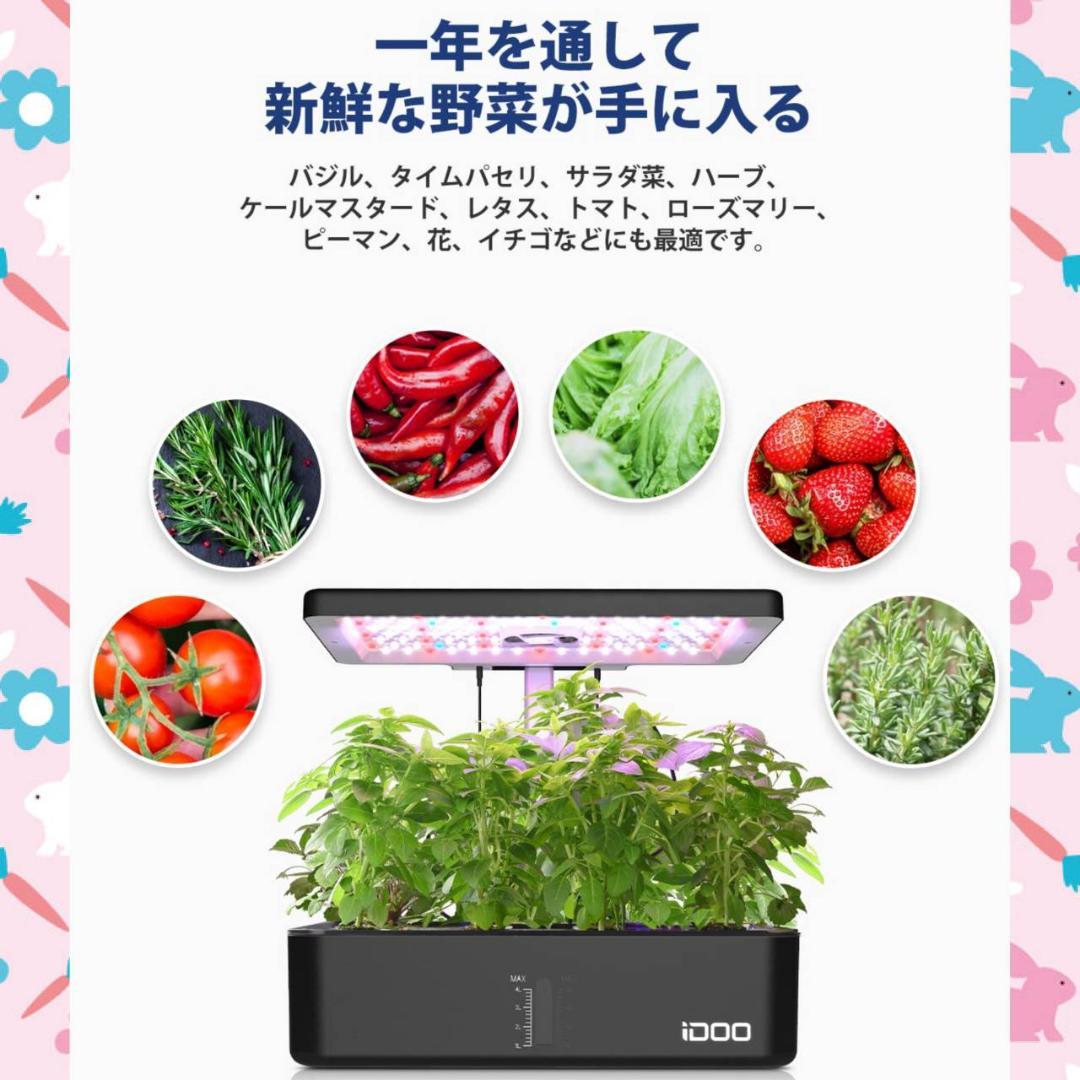 セット 室内 植物育成LEDライト付き 水耕栽培