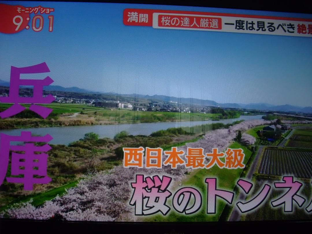 FH77/XD 23# W11 8GB 2TB TV BD Office 即使用