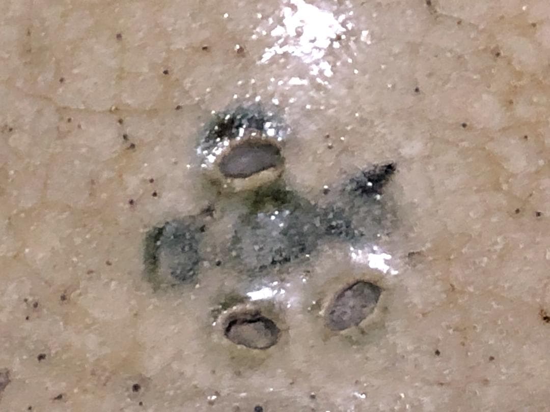 【 江戸期 骨董陶瓶 】 　梅鉢小紋染付 　徳利/花瓶